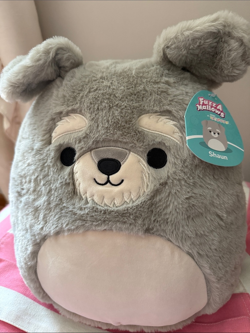 Shaun Squishmallow NWT 12”